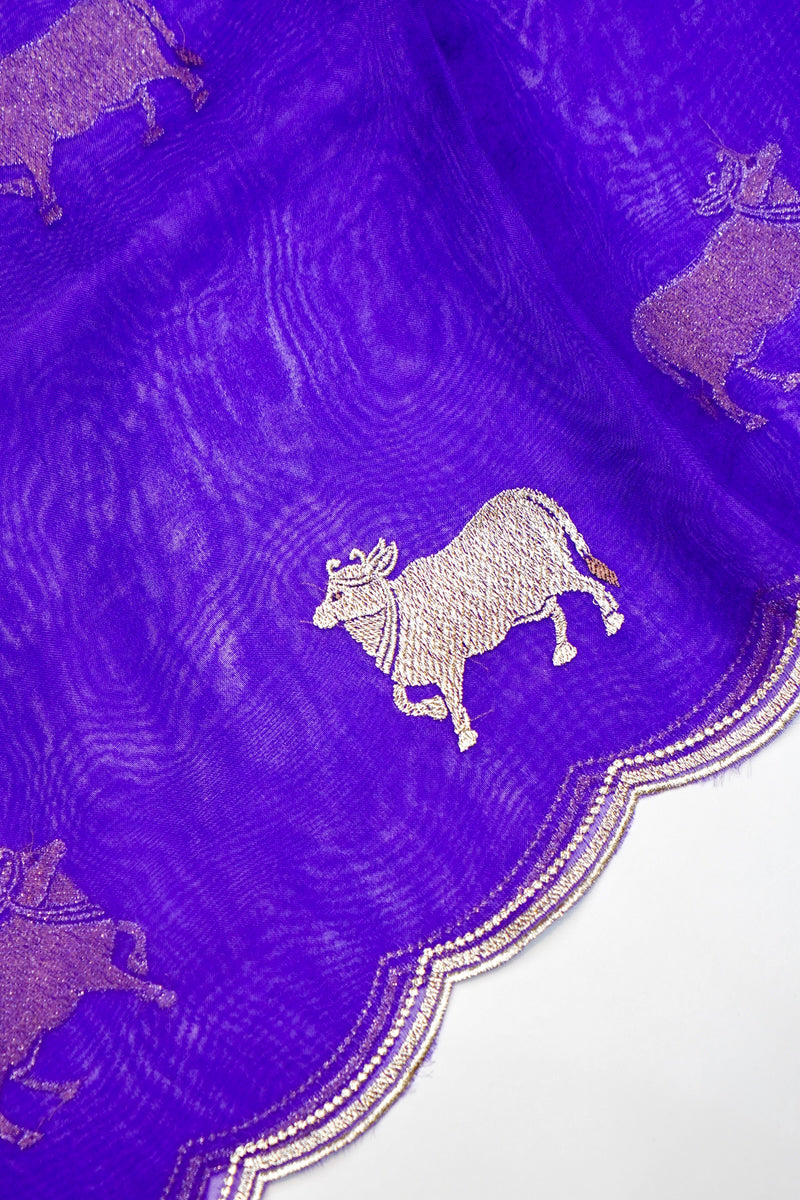 Designer Royal Blue  Organza Silk Suit