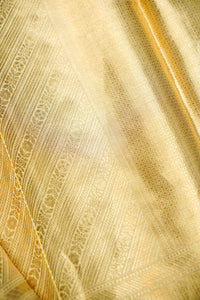 Handwoven Golden Banarasi Tissue Silk Saree