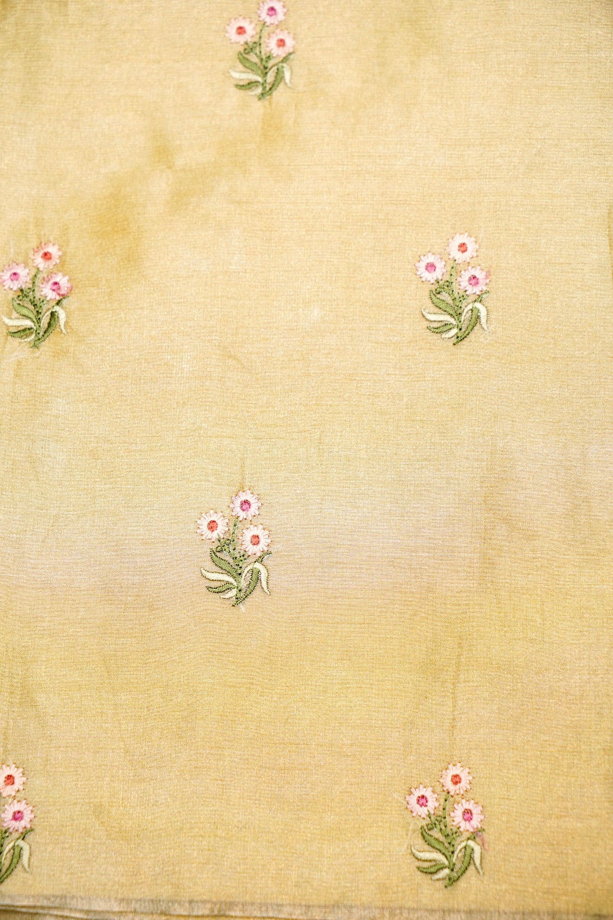 Designer Light Green  Organza Silk Suit