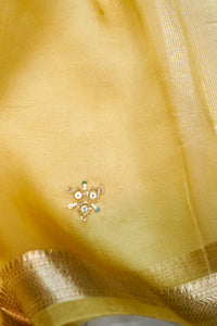 Designer Light Pista  Organza Silk Suit