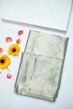 Handwoven Mint Green Banarasi Tissue Silk Saree