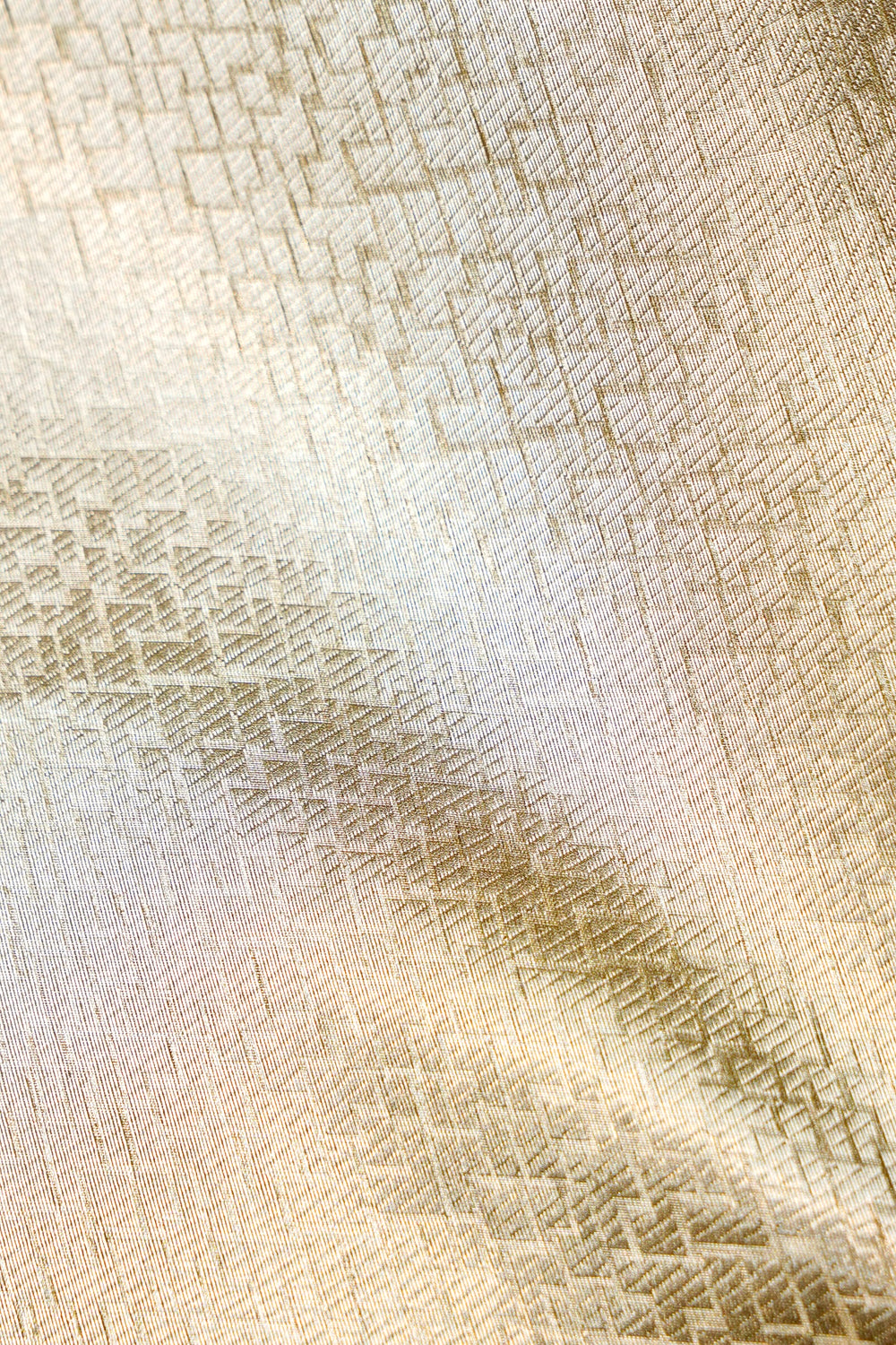 Designer Light Pista  Organza Silk Suit