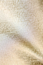 Designer Light Pista  Organza Silk Suit