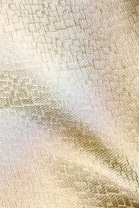 Designer Light Pista  Organza Silk Suit