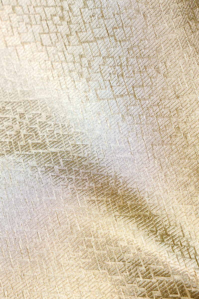 Designer Light Pista  Organza Silk Suit