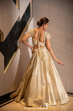 Designer Golden Tissue Silk Crop Top