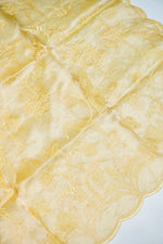 Designer Light Green  Organza Silk Suit