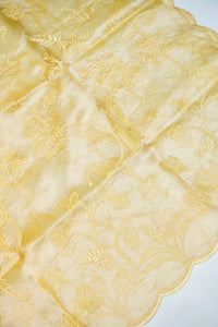 Designer Light Green  Organza Silk Suit