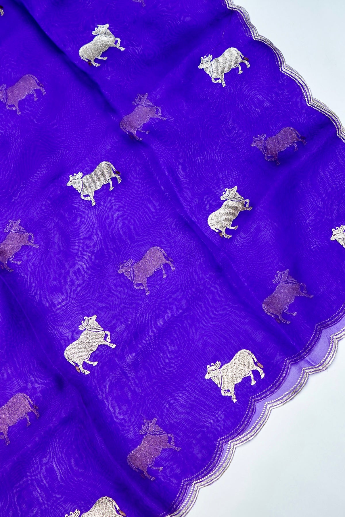 Designer Royal Blue  Organza Silk Suit