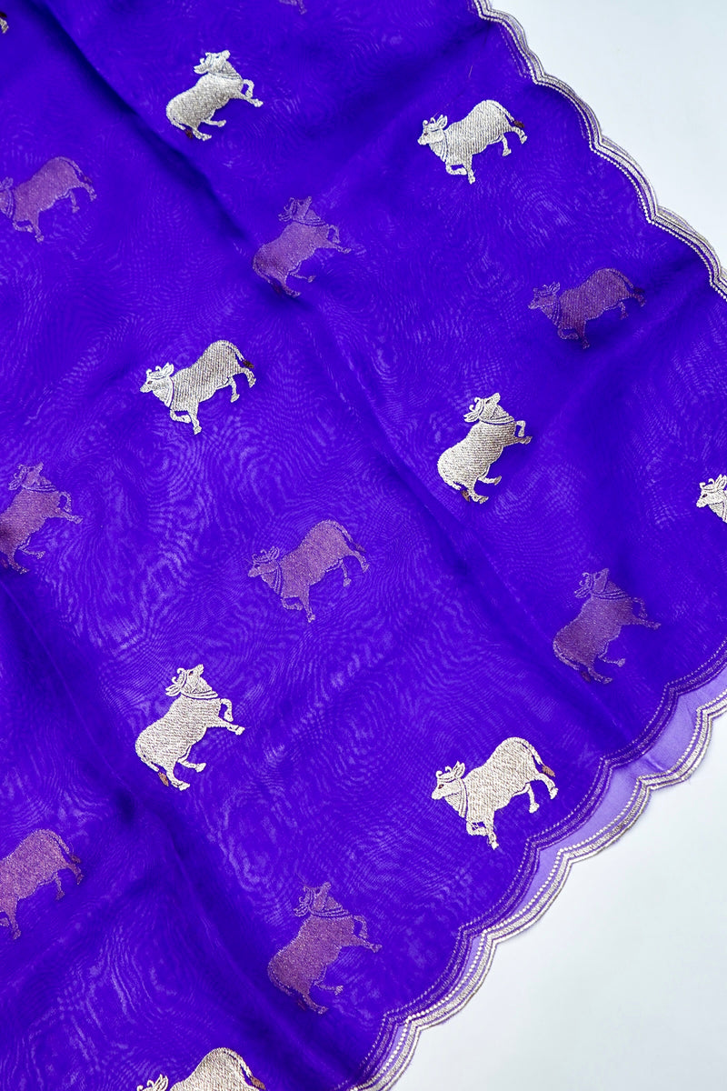 Designer Royal Blue  Organza Silk Suit