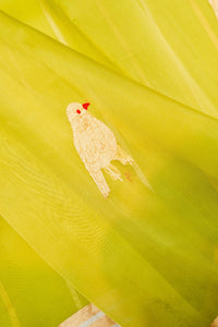 Handwoven Lemon Yellow Banarasi Kora Silk Saree