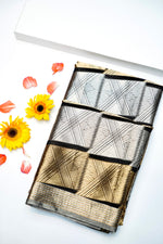 Handwoven Silver and Gold Banarasi Tissue Silk Saree