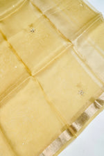 Designer Light Pista  Organza Silk Suit