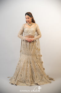 Designer Golden Net Party Wear Lehenga