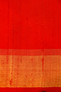 Handwoven Rangkaat Banarasi Soft Silk Saree