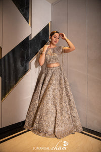 Designer Grey Net Party Wear Lehenga