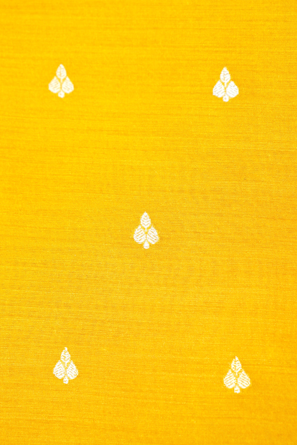 Designer Mustard Yellow Moonga Silk Suit