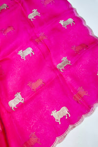 Designer  Rani Pink Organza Silk Suit