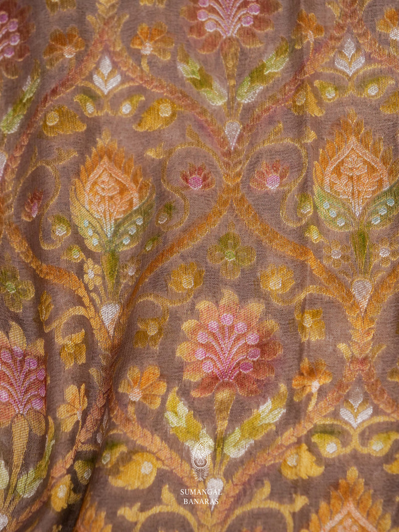 Handwoven Peanut Brown Meenakari Jaal Saree