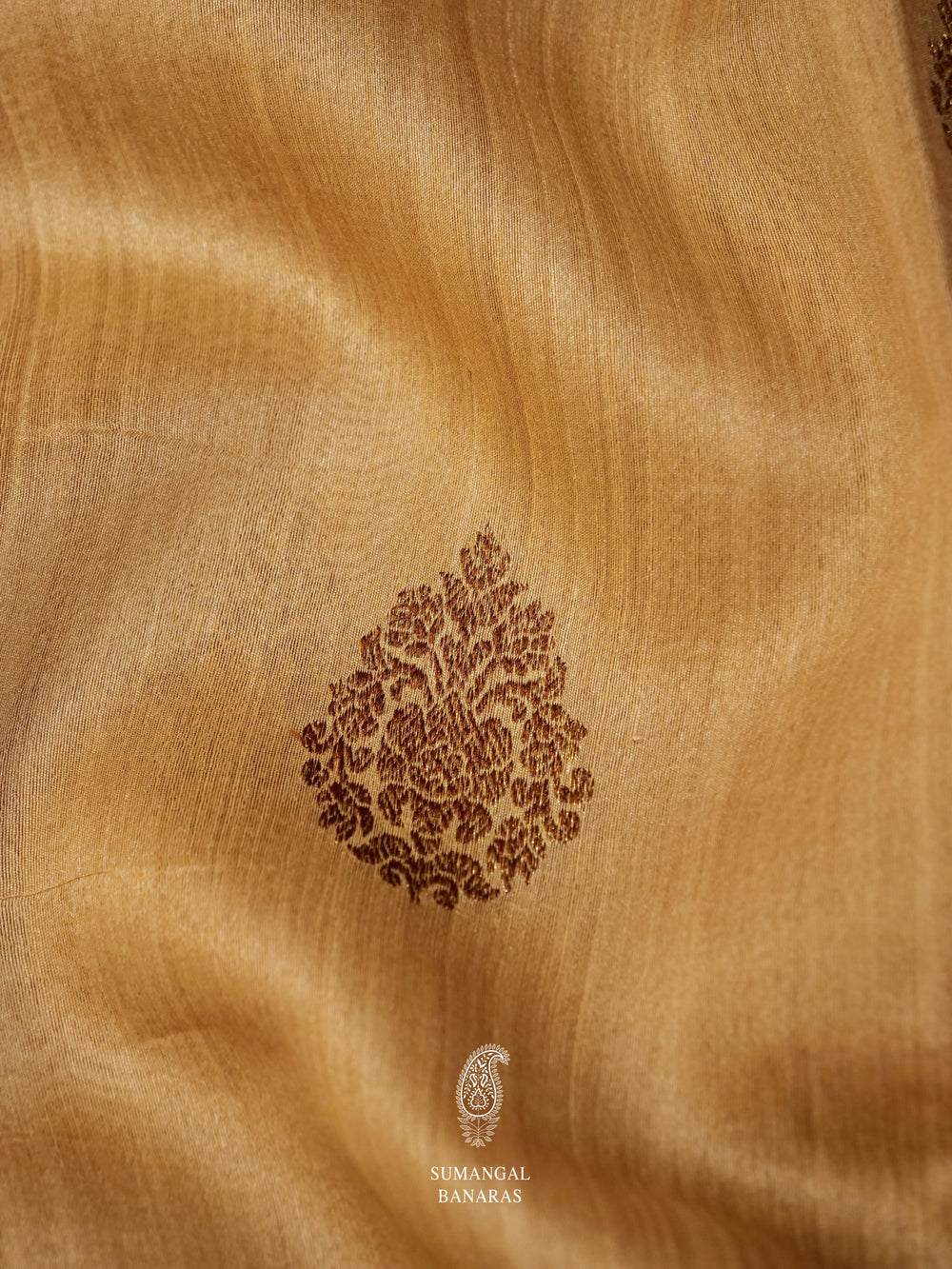 Handwoven Beige Tussar Silk Saree