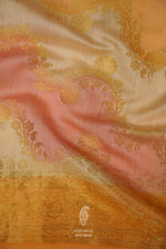 Handwoven Peach Orange Jaal woven Katan Silk Rangkat Saree