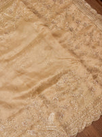 Molten Beige Breezy Organza Embellished Saree