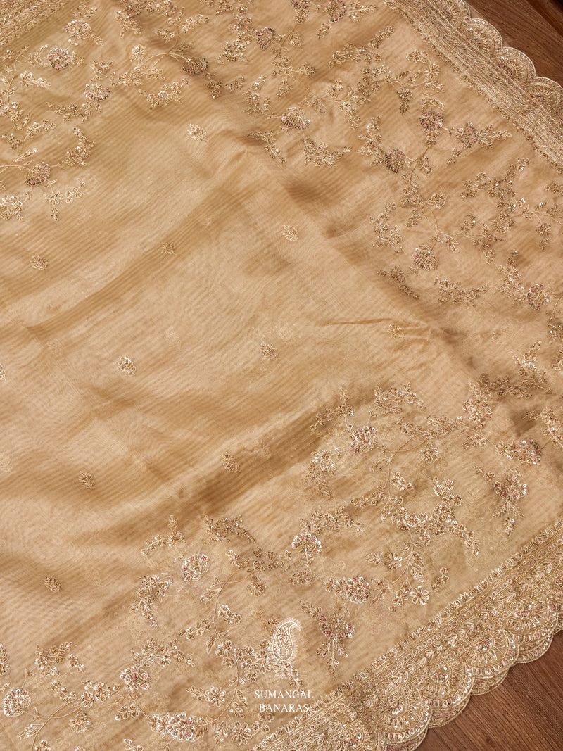 Molten Beige Breezy Organza Embellished Saree