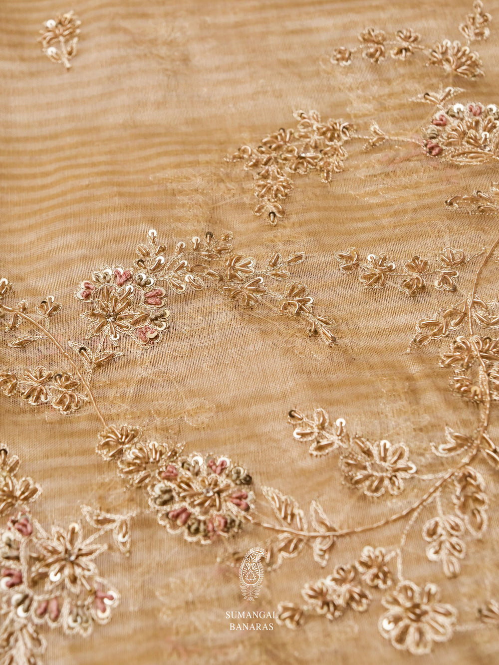 Molten Beige Breezy Organza Embellished Saree