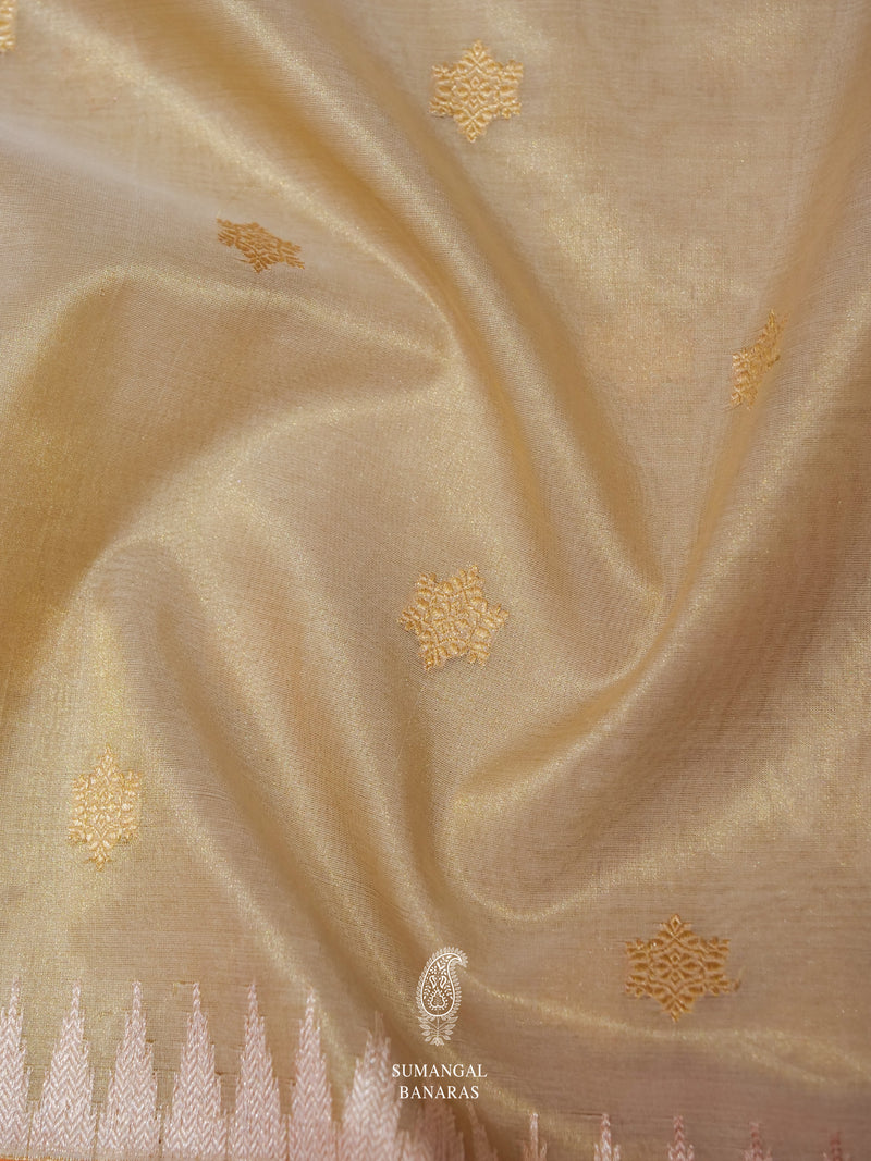 Handwoven Neutral Beige Banarsi Tissue Silk Saree