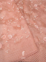 Salmon Pink Sequins Resham Organza Saree