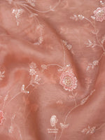 Salmon Pink Sequins Resham Organza Saree