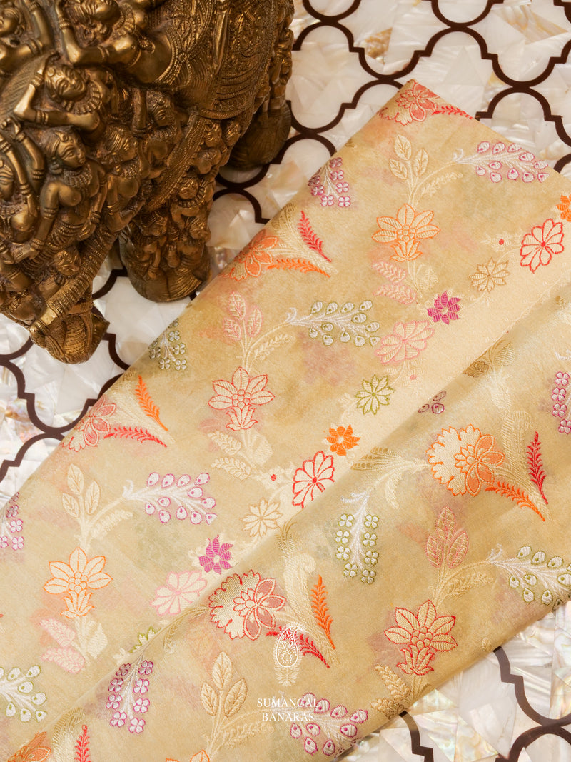 Handwoven Gold Tissue Silk Saree