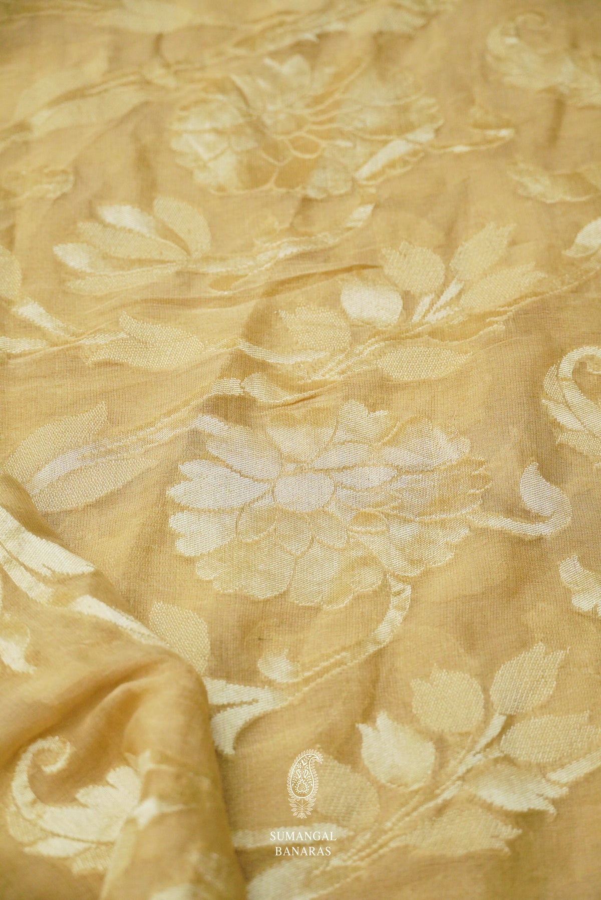Handwoven Banarsi Molten Beige Georgette Silk Saree